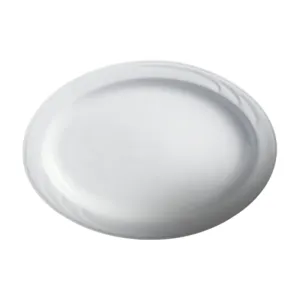 Cameo 301-133 Bostonian 13" Oval Platter 12 /Case