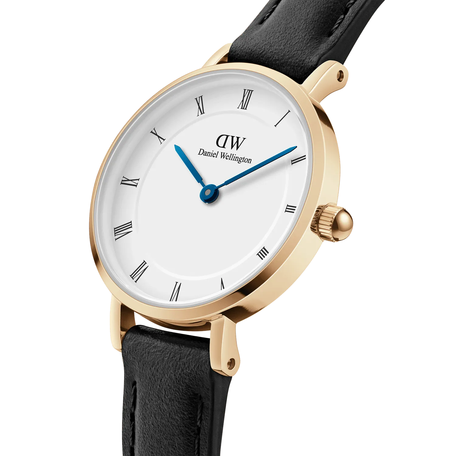 Daniel Wellington Petite Roman Numerals Sheffield Gold Watch DW00100686