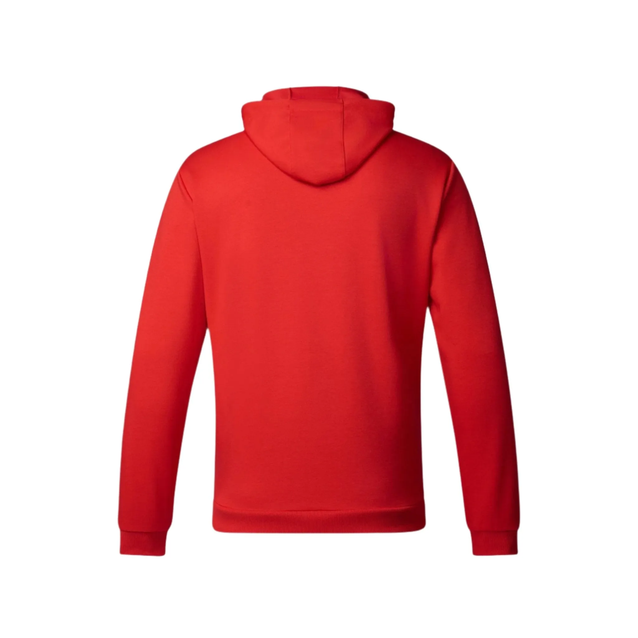 Oracle Red Bull Racing F1™ Team Lifestyle Men's Hoodie - Flame Scarlet