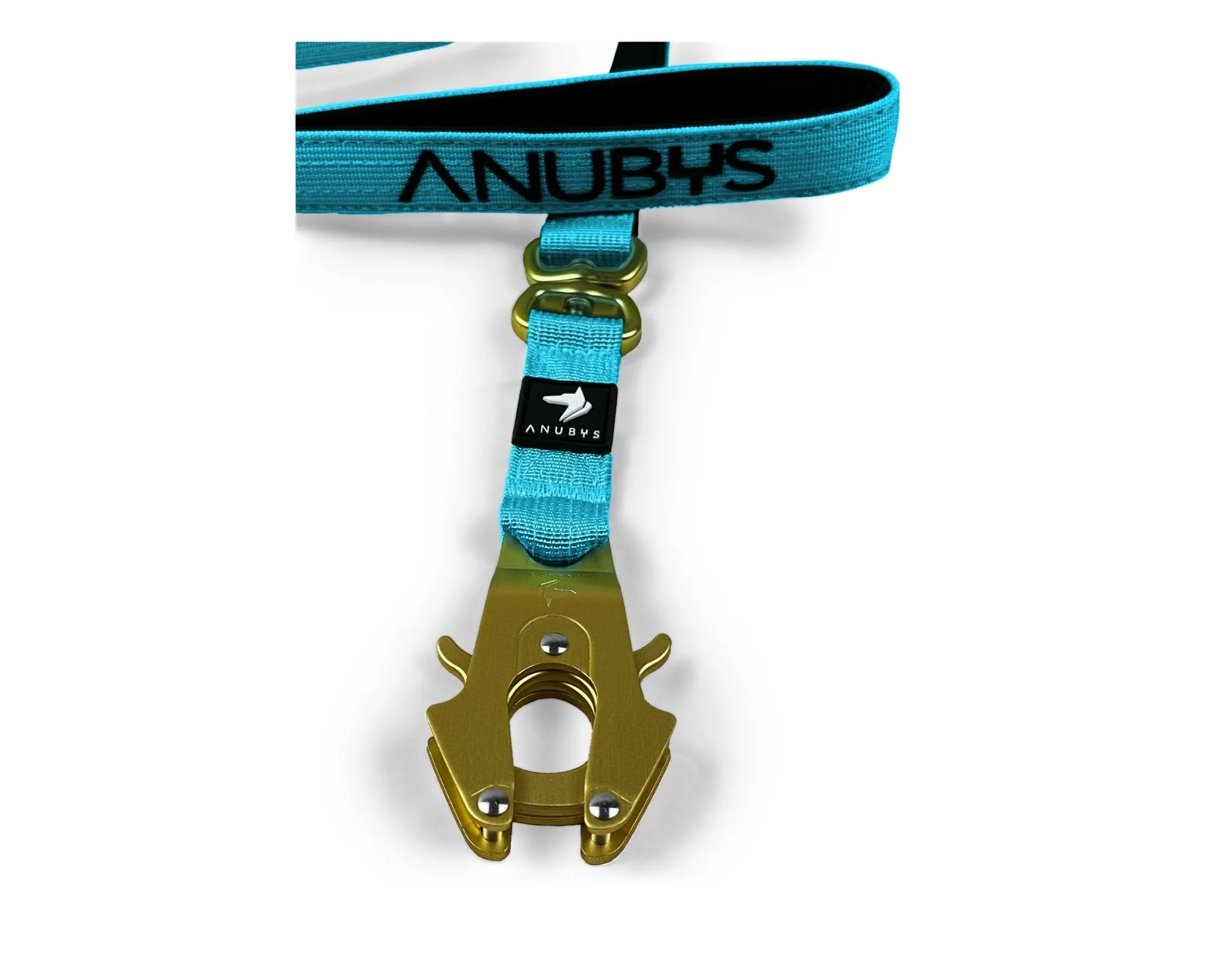 Tactical Leash | Military Grade | Azure Blue